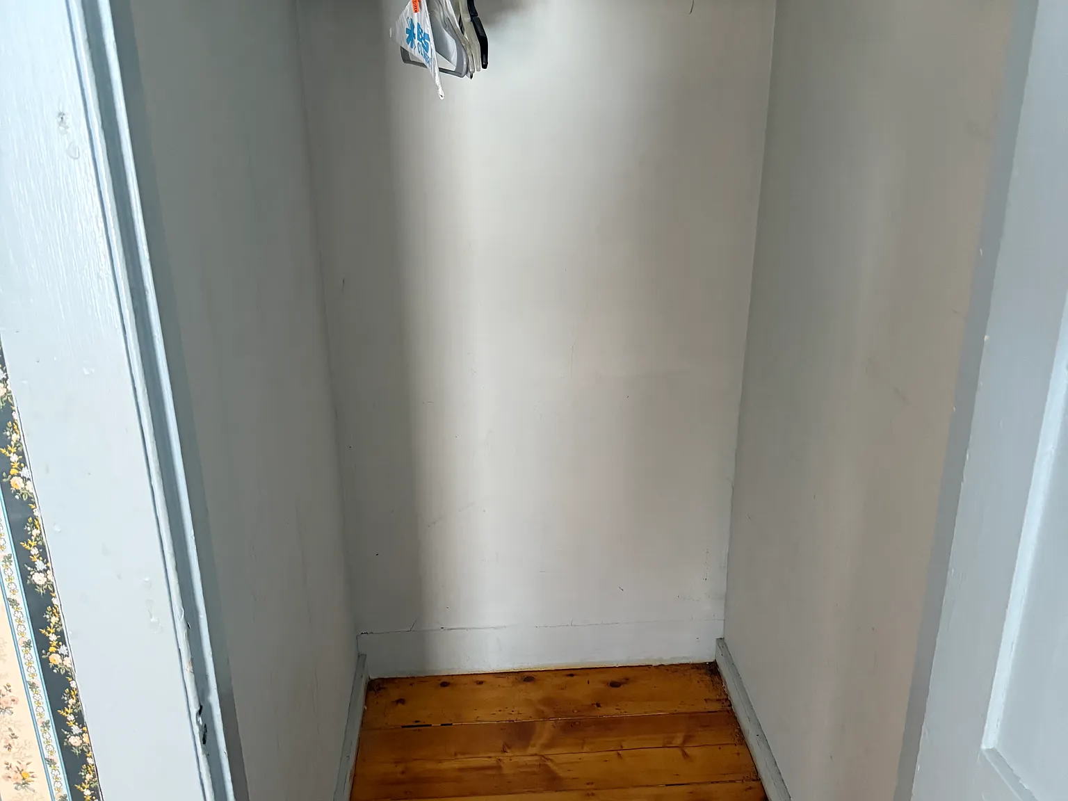 1 bed, 550 sqft, $1,500 — Photo 1