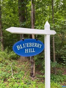 Tbd Green Creek Rd, Schuyler, VA, 22969