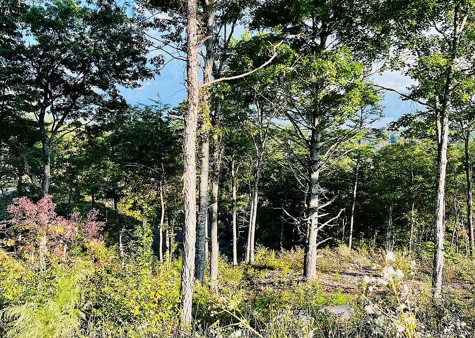 1st image of LOT 17 Mountain Laurel Dr