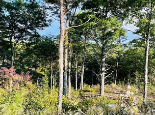 LOT 17 Mountain Laurel Dr, Mineral Bluff, GA 30559