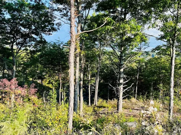 LOT 17 Mountain Laurel Dr, Mineral Bluff, GA 30559