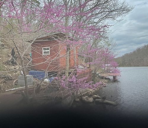 4th image of 34 Bosworth Cir