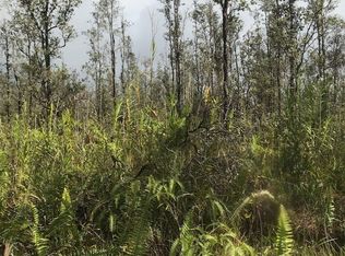 16-2179 Uau Rd LOT 3914, Mountain View, HI 96771