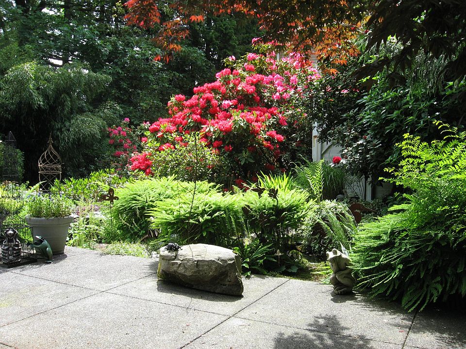 Patio/garden in late spring