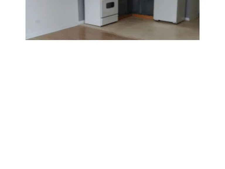 5230 S Justine St #2NDFL — Photo 5