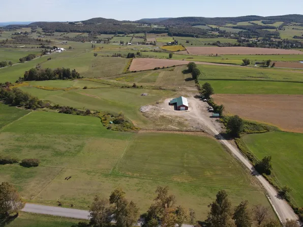 262 Van Alstyne Rd, East Springfield, NY 13333