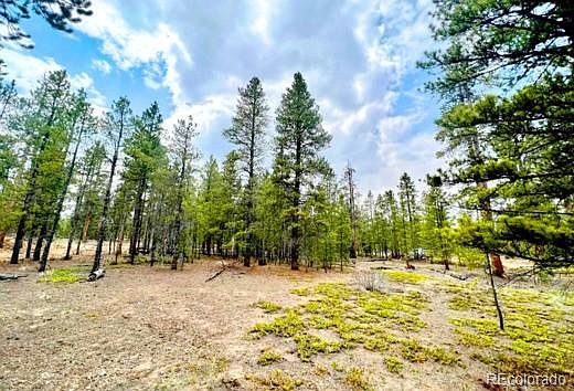 1st image of 275 Mt Elbert Drive