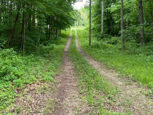 5747 Madison St, Coloma, MI 49038