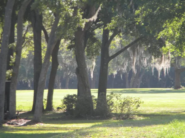 Lot 16 NW 92nd Ct, Chiefland, FL 32626
