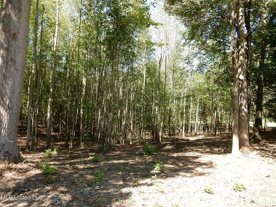 2nd image of LOT 1 Cypress Corner Rd Lot 1