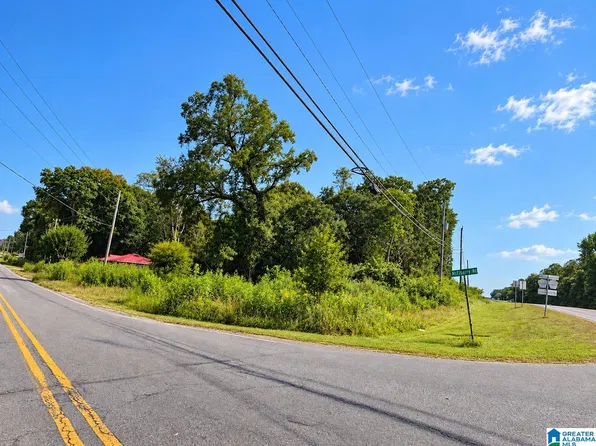 0 Highway 21 #1-17-19, Munford, AL 36268