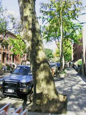 Rented by Chris Stewart, LREB | media 1