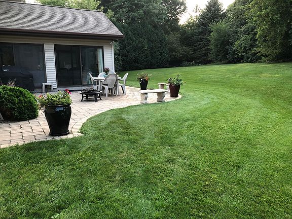 Backyard + patio