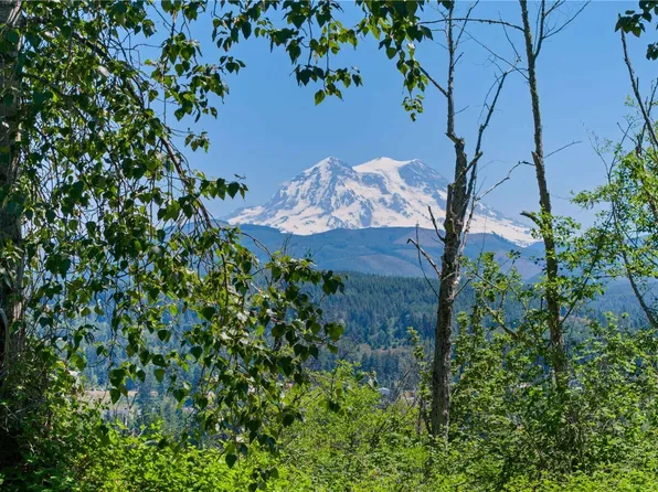 380 Dow Ridge Drive N, Eatonville, WA 98328