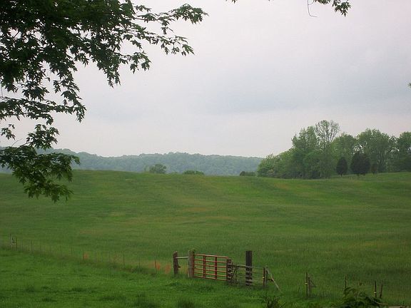 Pasture