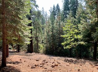 4905 Deerwood Ct, Grizzly Flats, CA 95636