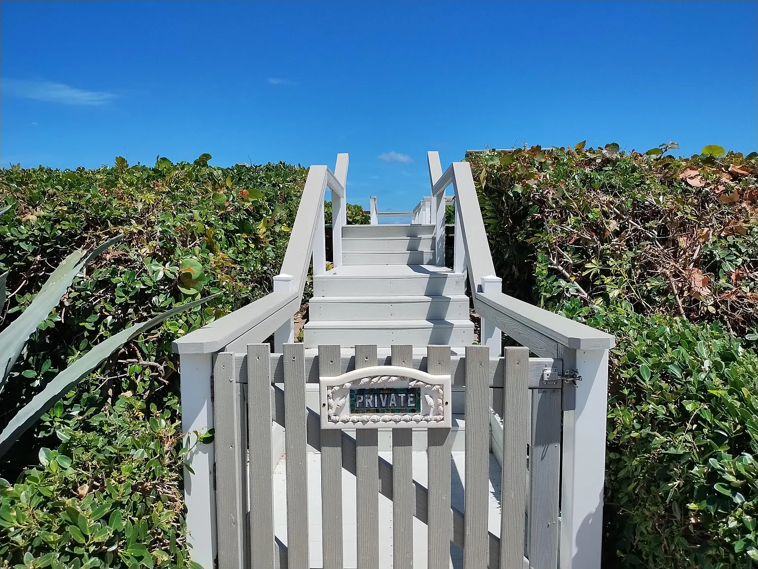 Ocean Manor — Photo 1