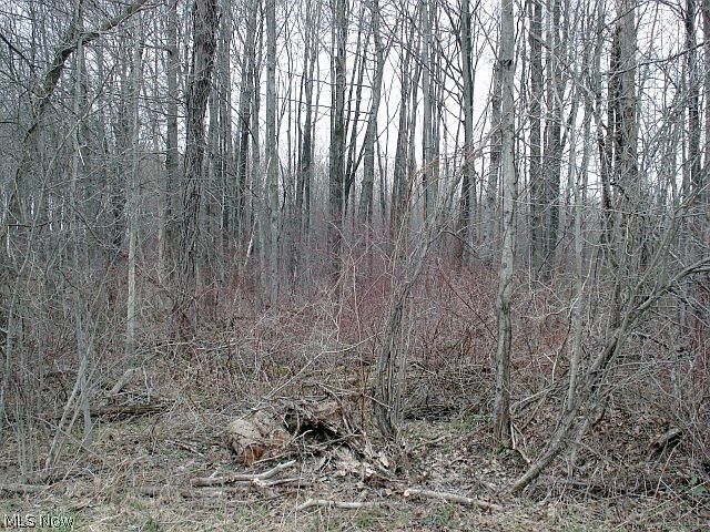 2nd image of Rockwell Rd