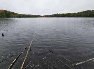 135 Alpine Dr, Reed City, MI 49677