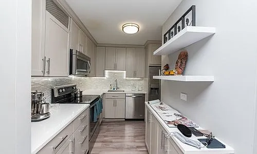 2 bed, 2.0 bath, 1000 sqft, $3,300 — Photo 2