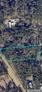 Lower Five Points Rd, Smithville, GA, 31787
