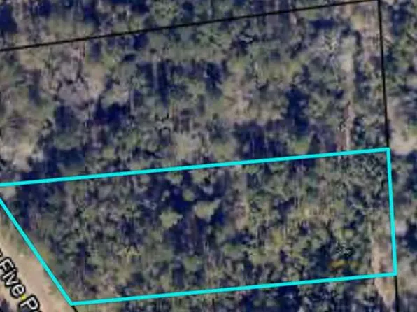 Lower Five Points Rd, Smithville, GA 31787