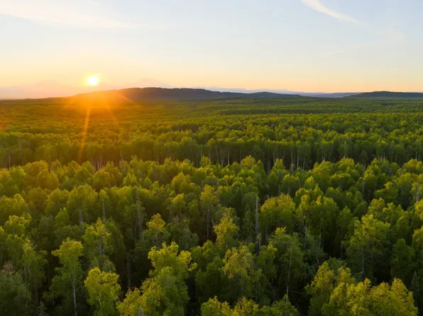 0 Baldy Lake Park Lot 77, Talkeetna, AK 99676
