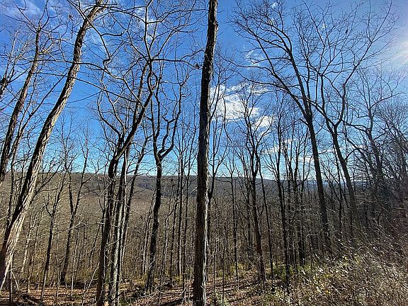 Bluff view.