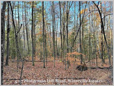 4-1-7 Hodgeman Hill Road, Campton, NH, 03223
