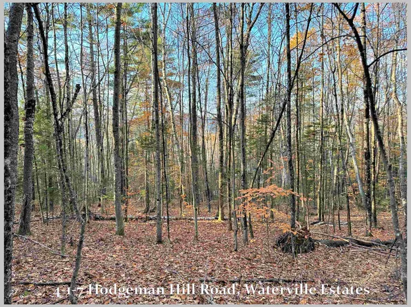 4-1-7 Hodgeman Hill Road, Campton, NH 03223