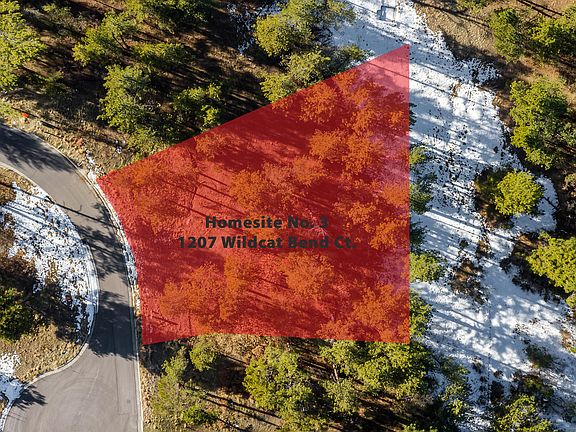 2nd image of 1207 Wildcat Bend Ct