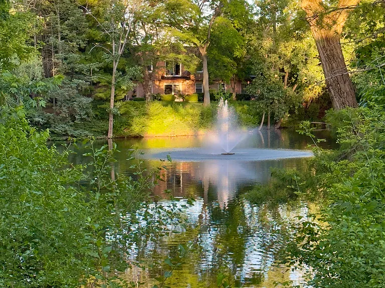 The pond