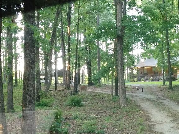 Driving up the driveway