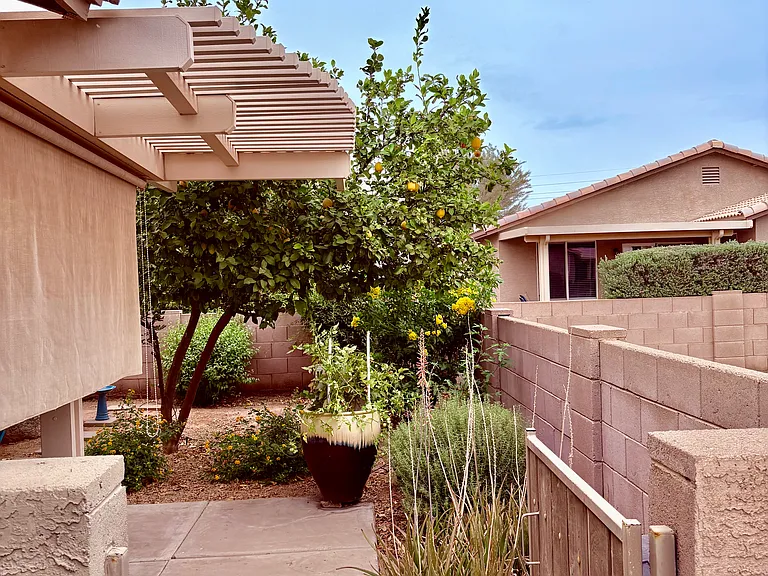 1444 E Las Colinas Dr — Photo 33