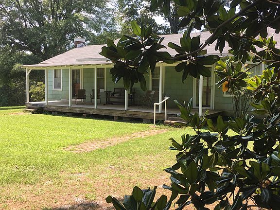 50 year old Magnolia in Yard