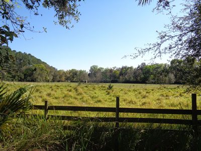 8026 NW 230th St, Micanopy, FL, 32667
