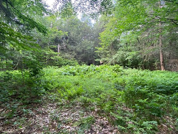 3rd image of 40 Bailey Rd