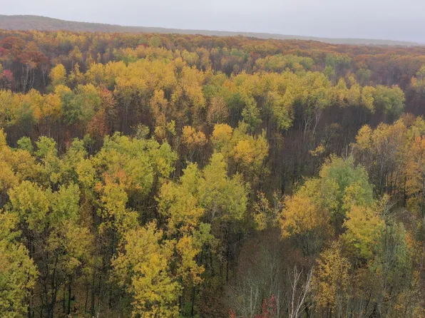 16 County Hwy W #O, Weyerhaeuser, WI 54895