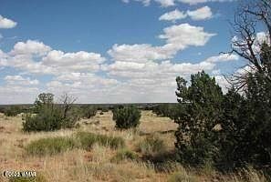 2nd image of Sec 19 #T15n-r16e-sec19