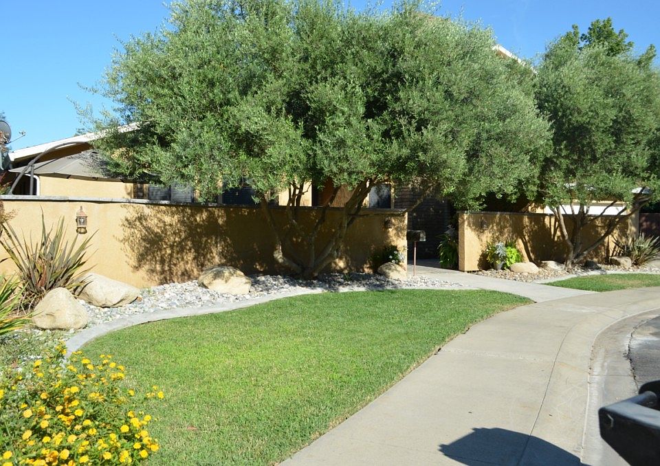 Front Courtyard