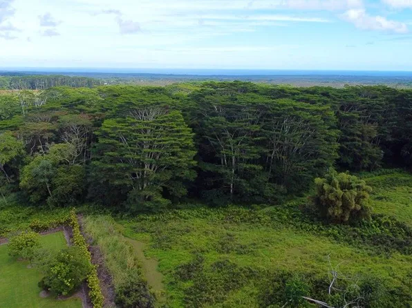 LOT 10 Lot 10, Kurtistown, HI 96760