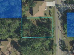 158 Rae Dr, Palm Coast, FL 32164