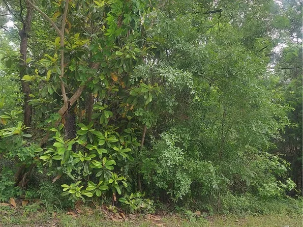0 Jones Rd, Northport, AL 35473