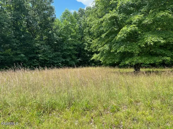 LOT 16 Woodland Trl, Sunbright, TN 37872
