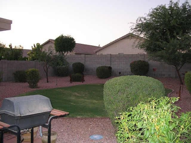 Backyard-(not current)