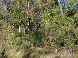 0 NW 5th St, Steinhatchee, FL 32359