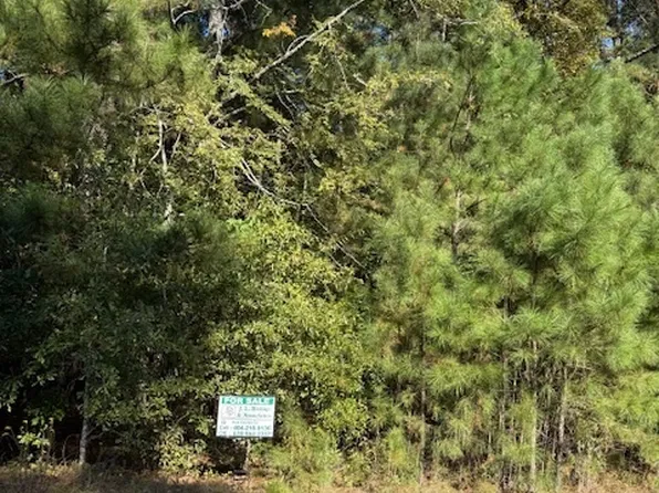 0 Old Covered Bridge Rd, Covington, GA 30016