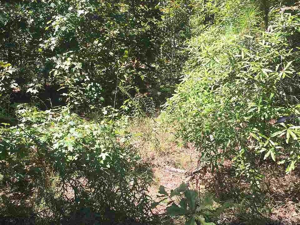 2nd image of 15017 Summer Oak Dr