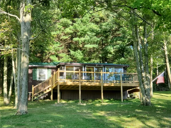 9374 Tibbals Rd, Springwater, NY 14560