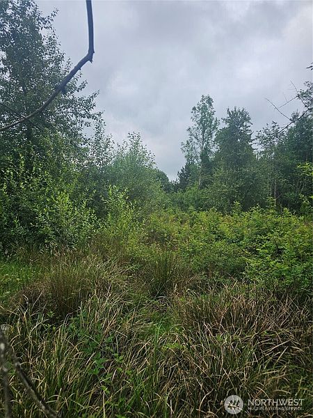 3rd image of 565 Oyler Road